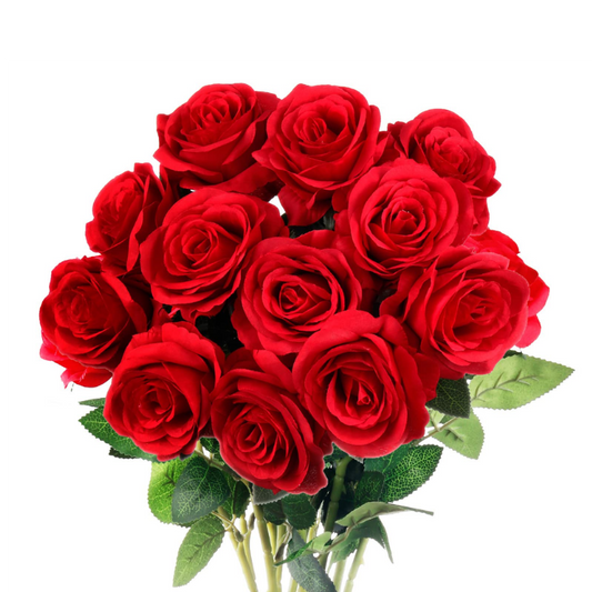 RED ROSE DOZEN