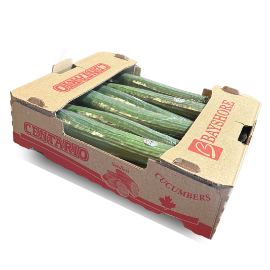 [BOX] Cucumber No.1 (Medium)