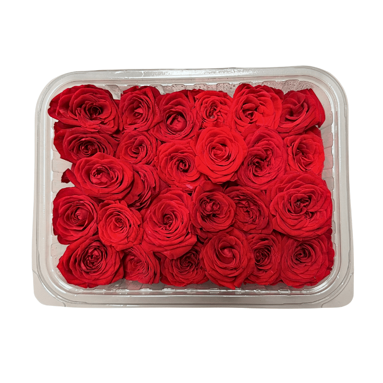 RED ROSE BUD PREMIUM CUT 21CT