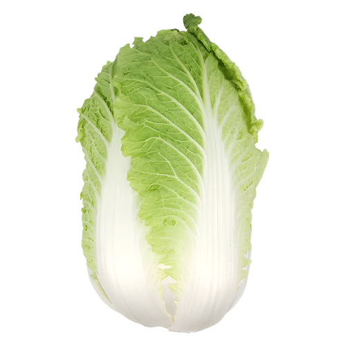 [BOX] Napa Cabbage