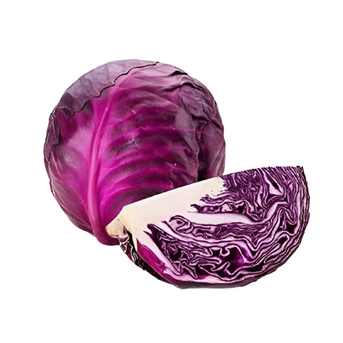 [BOX] Cabbage, Red