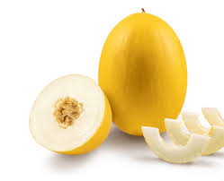 [BOX]CANARY HAMI MELON MAJESTY