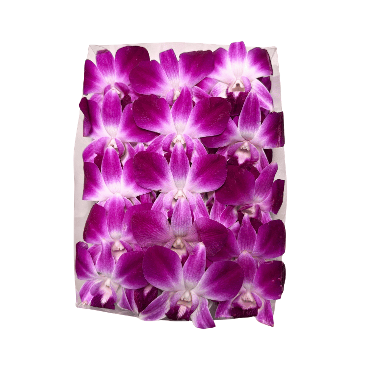 ORCHIDS 50CT TRAY