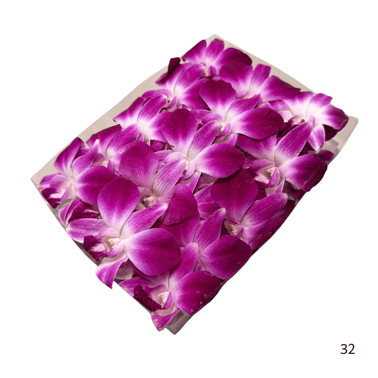 ORCHIDS 50CT TRAY
