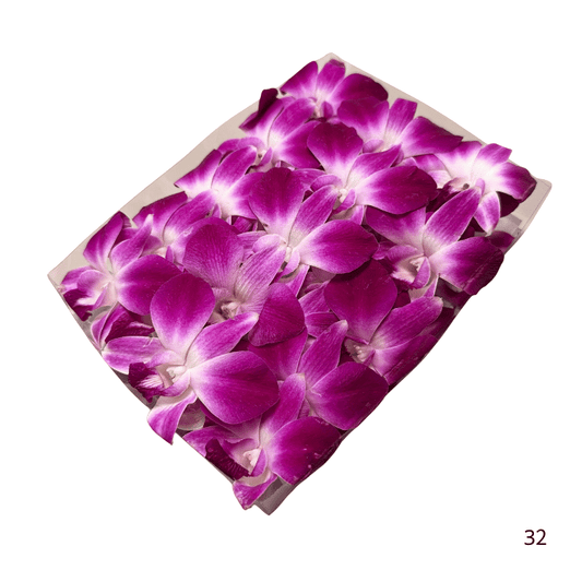 ORCHIDS 50CT TRAY